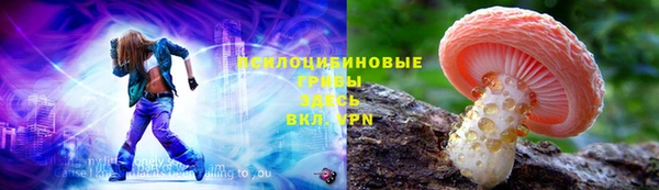 ПСИЛОЦИБИНОВЫЕ ГРИБЫ Зеленодольск