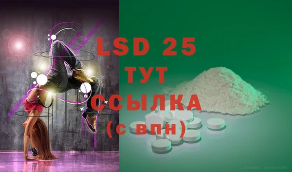 ПСИЛОЦИБИНОВЫЕ ГРИБЫ Зеленодольск