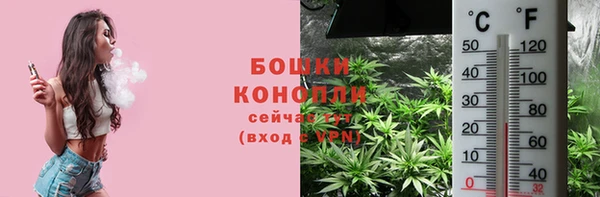 ПСИЛОЦИБИНОВЫЕ ГРИБЫ Зеленодольск