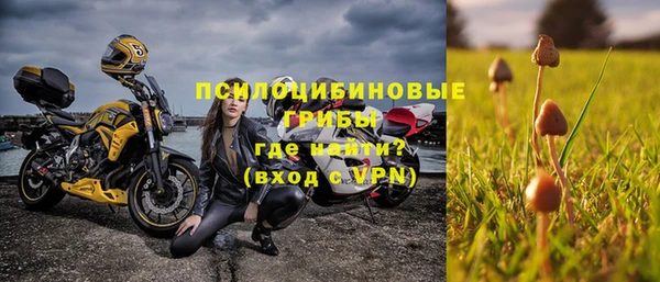 эйфоретик Зерноград